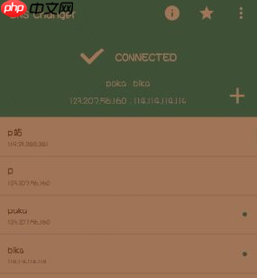 哔咔漫画怎么修改dns？修改dns的方法说明