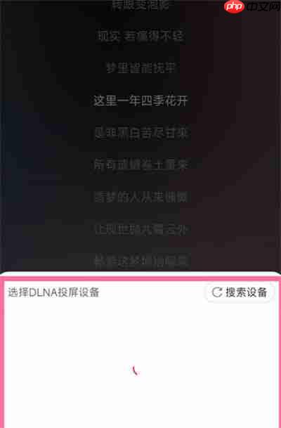 网易云音乐怎么投屏