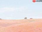 剪映怎么添加照片 剪映添加照片步骤一览