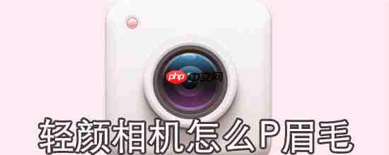 轻颜相机怎么P眉毛_P眉毛方法介绍