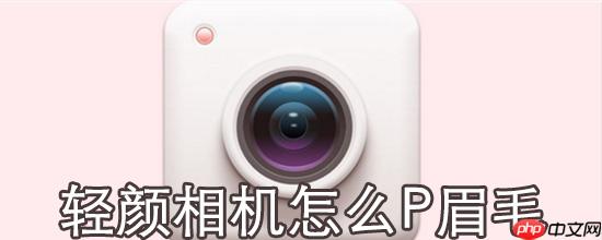 轻颜相机怎么P眉毛_P眉毛方法介绍