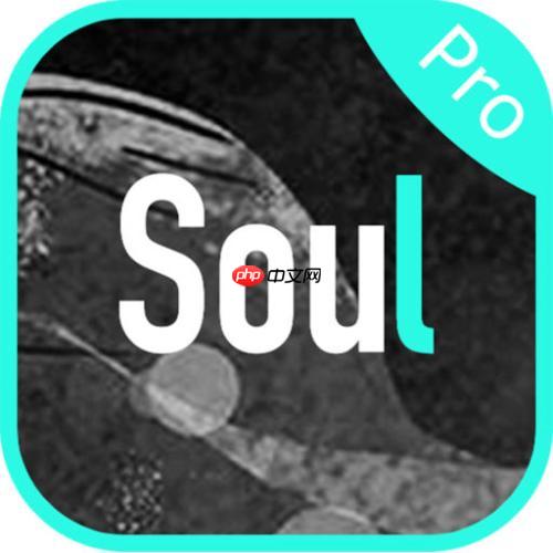 在soul里怎么篩選匹配年齡？篩選匹配年齡的方法介紹