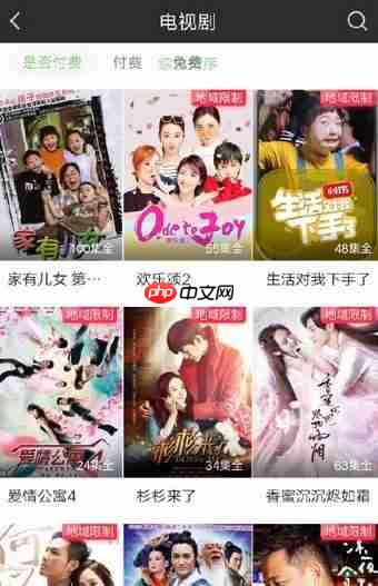 爱奇艺地域限制怎么处理？解决爱奇艺地域限制的方法说明