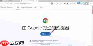 谷歌浏览器网页链接怎么进入