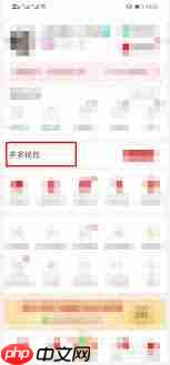 拼多多返红包怎么查看