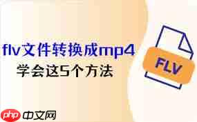 如何将FLV视频转换为MP4格式