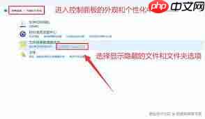 电脑隐藏的文件夹找不到？试试这款软件！