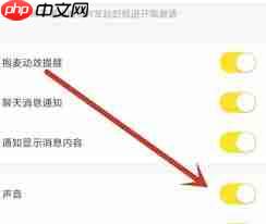 yy语音如何静音