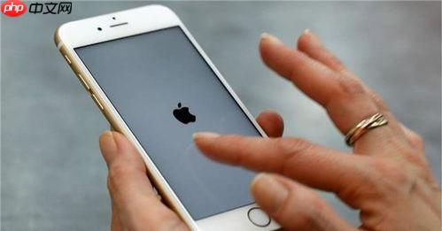 如何利用iPhone15系列为照片添加人像光效