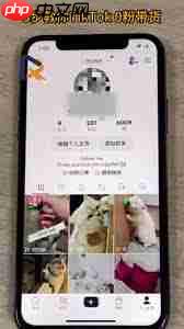如何获取tiktok视频链接