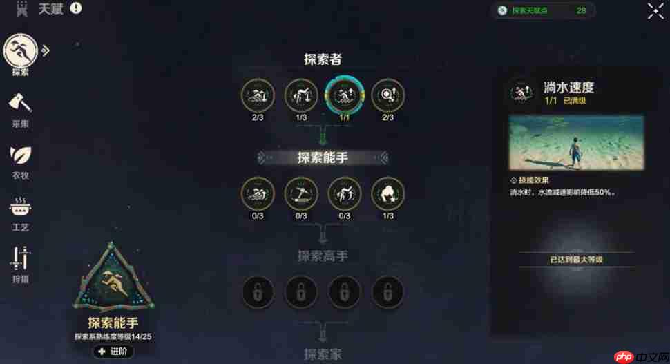 荒野生存法则：探索天赋极致优化指南