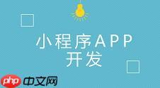 是开发小程序,还是APP?不是所有的行业,都适合做微信小程序