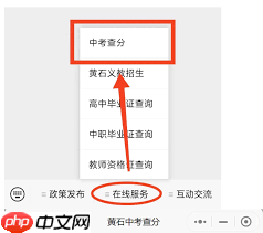 i襄阳如何查询中考成绩