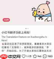小红书如何实现一键翻译
