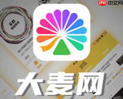 大麦怎么设置微信为默认支付方式