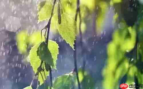醒图添加雨水效果的方法