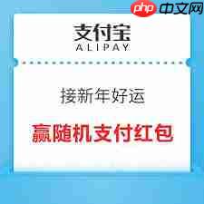 支付宝2025新年好运红包如何使用
