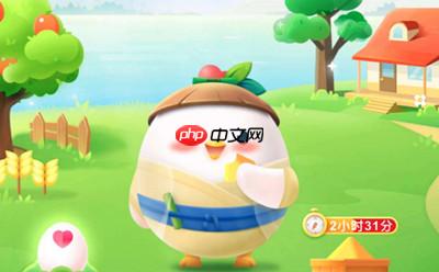 白色K金和铂金指的是