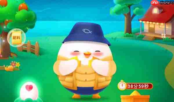 白色K金和铂金指的是