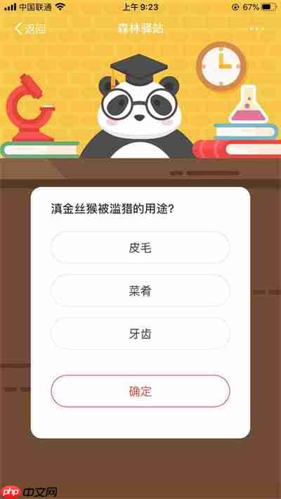森林驿站8月23日答案分享