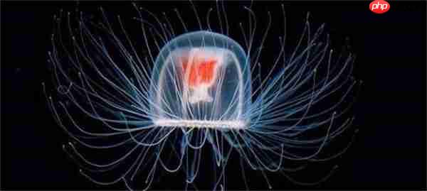 支付宝神奇海洋听说水母身上百分之九十五都是水是真的吗