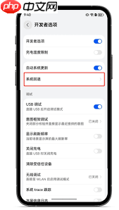 纯血鸿蒙如何退回旧版本