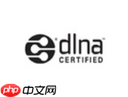 dlna怎么使用？dlna使用方法说明