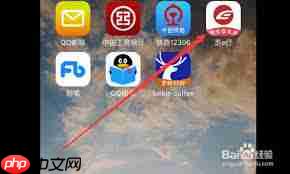 苏e行如何查看剩余次数