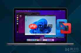 VMware Fusion能否运行macOS