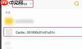 手机QQ闪图5秒怎么保存