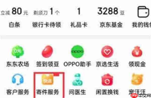 京东怎么通关快递号查询快递