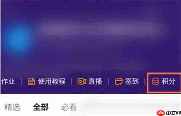钉钉怎么查看自己的积分
