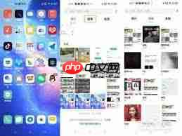 oppo手机如何实现文件互传