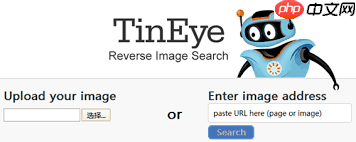 tineye以图搜图网页版在哪里