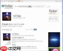 tineye以图搜图网页版在哪里