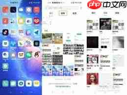 oppo手机如何互传照片