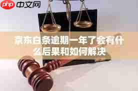 京东白条逾期有什么后果