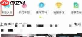 懂车帝底价如何查询