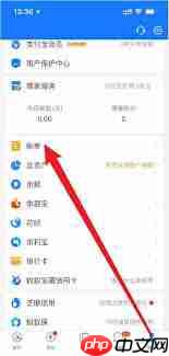 支付宝如何查看全年总账单