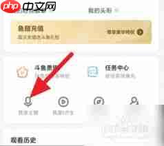 斗鱼直播记录在哪看