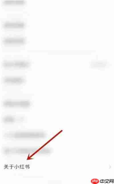 小红书网络诊断功能在哪里