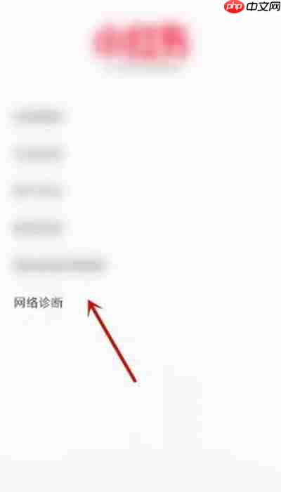 小红书网络诊断功能在哪里