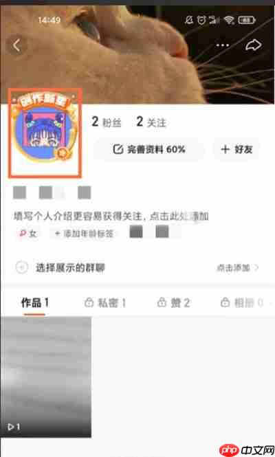 快手怎么添加头像挂件