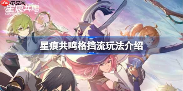 星痕共鸣格挡流该怎么玩-星痕共鸣格挡流玩法介绍