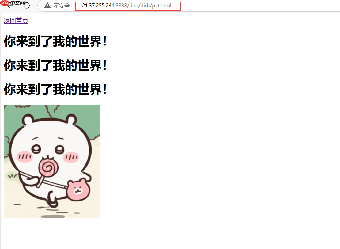 【Linux网络】网络基础：HTTP协议