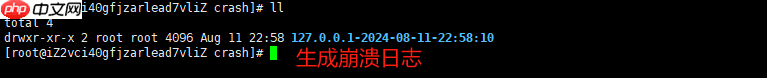 Linux日志-kdump日志
