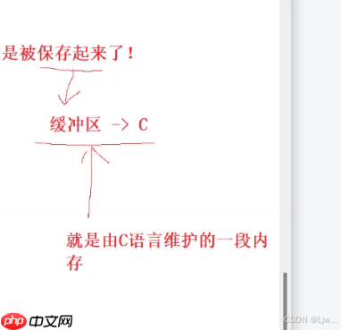 进度条（倒计时）Linux