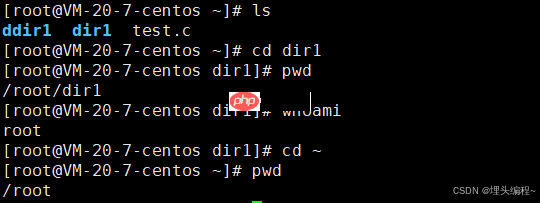 【Linux】操作系统 && 常用指令（上）