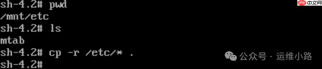 Linux系统-救援模式