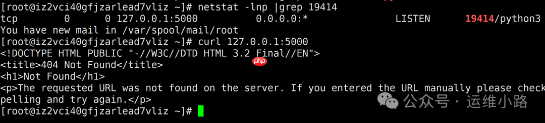 Linux系统-僵尸&孤儿进程